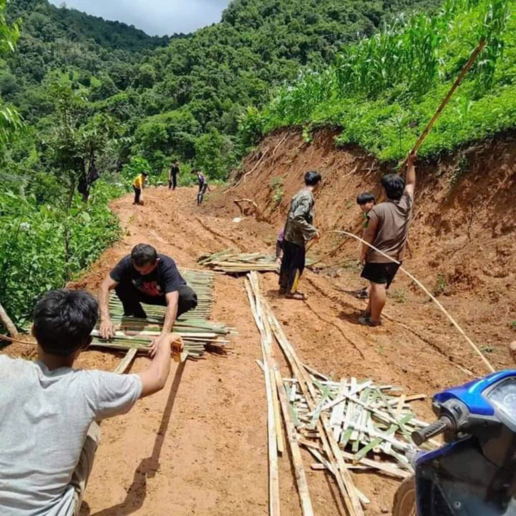Tại sao trồng tre