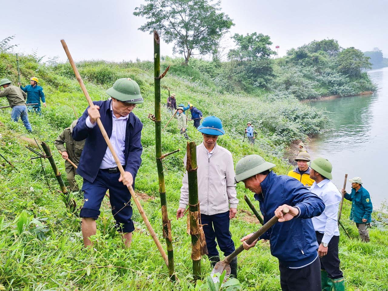 Nông dân Nghệ An trồng tre tạo bờ kè sinh thái dọc sông Lam